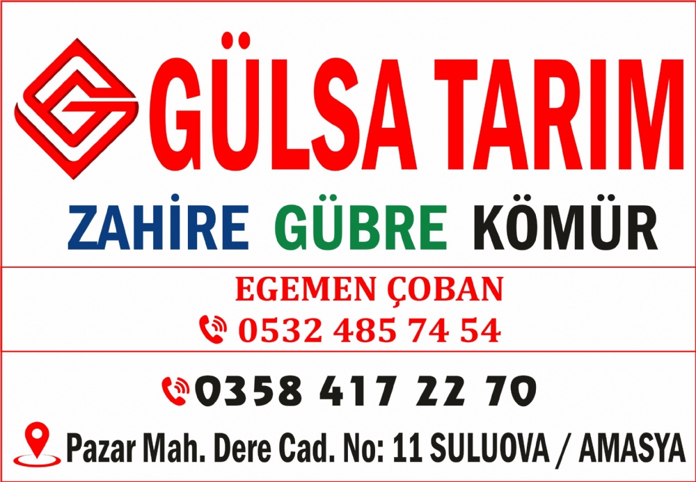 GÜLSA